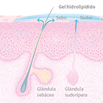 Infografía de limpieza facial con láser azul Blauman